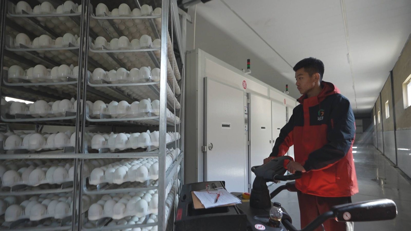 孵化车间内工作人员运送种蛋